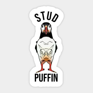 Funny Stud Puffin Sticker